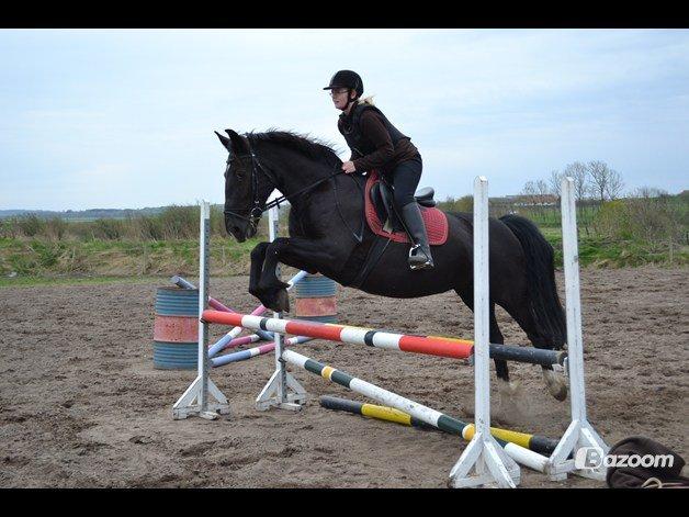 Oldenborg Stidsbjergs Meta billede 14