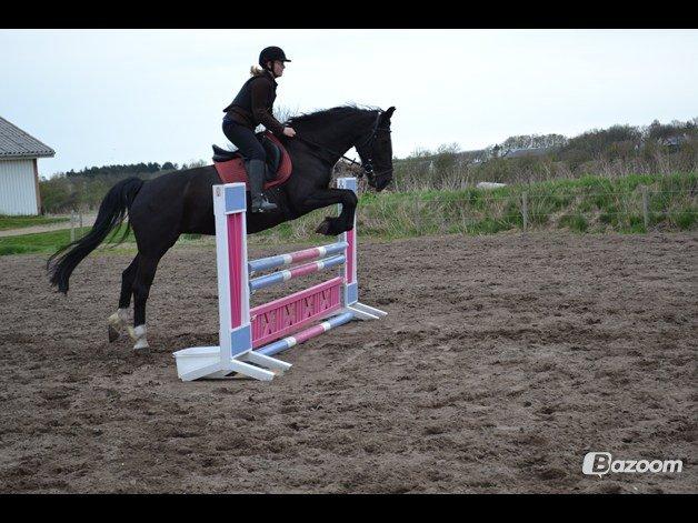 Oldenborg Stidsbjergs Meta billede 15