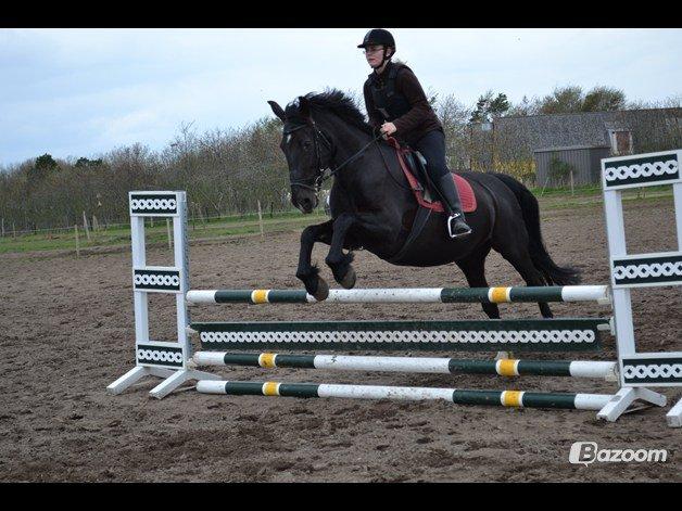 Oldenborg Stidsbjergs Meta billede 16