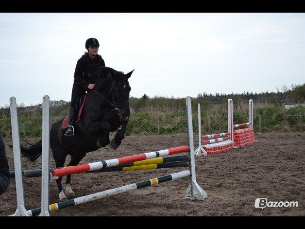 Oldenborg Stidsbjergs Meta billede 17