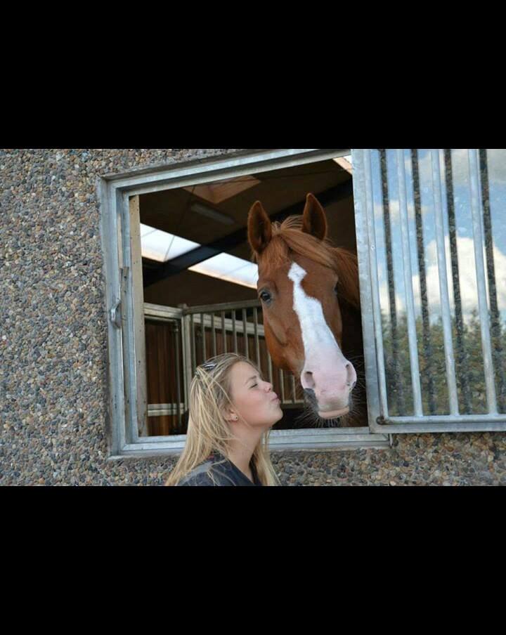 Anden særlig race Milando - Billedet siger alt! :* billede 12