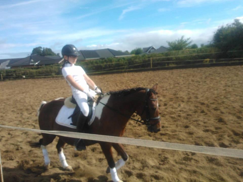 Anden særlig race Frig - Opvarmning i Herslev :) billede 13