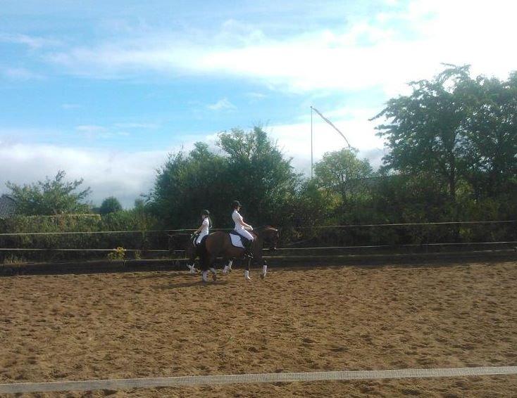 Anden særlig race Frig - Opvarmning med Gracious og jeg ;) billede 14