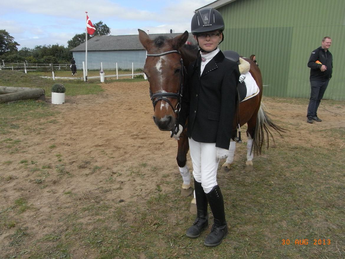 Anden særlig race Frig - Efter stævne :) billede 15