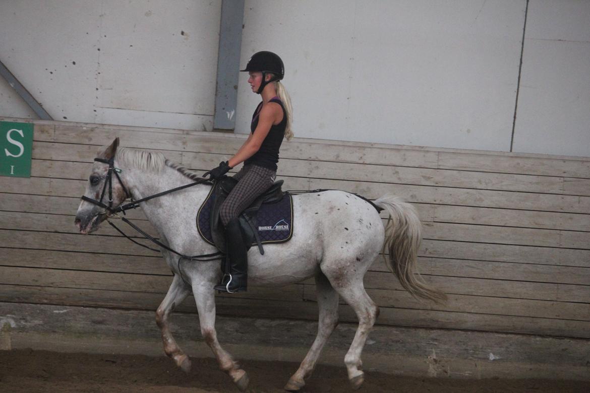 Anden særlig race Lotte billede 8