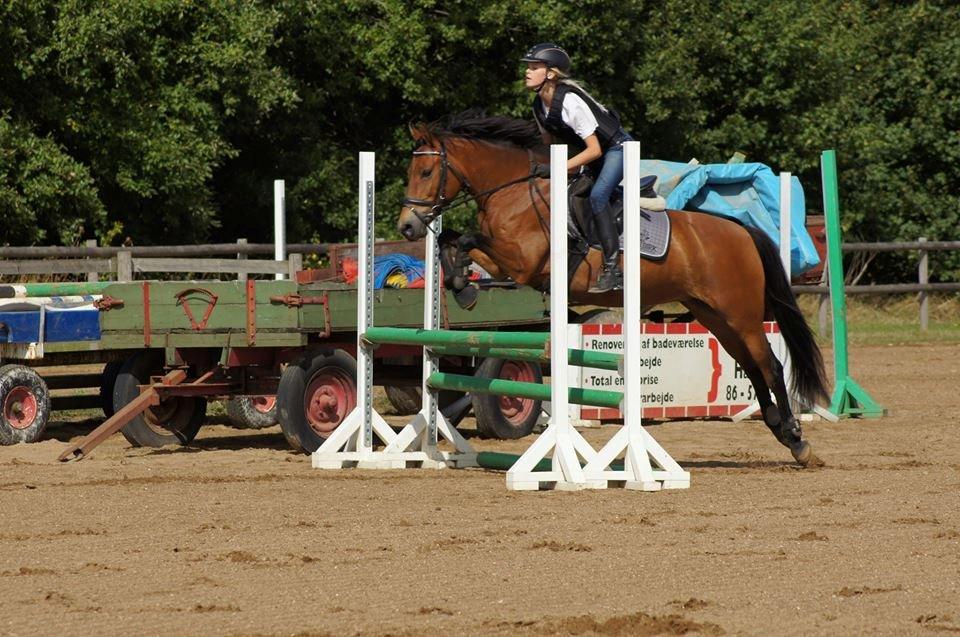 Anden særlig race kiara - "What's showjumping?" they asked.
I looked at them and said "Flying with my best friend." <3  billede 13