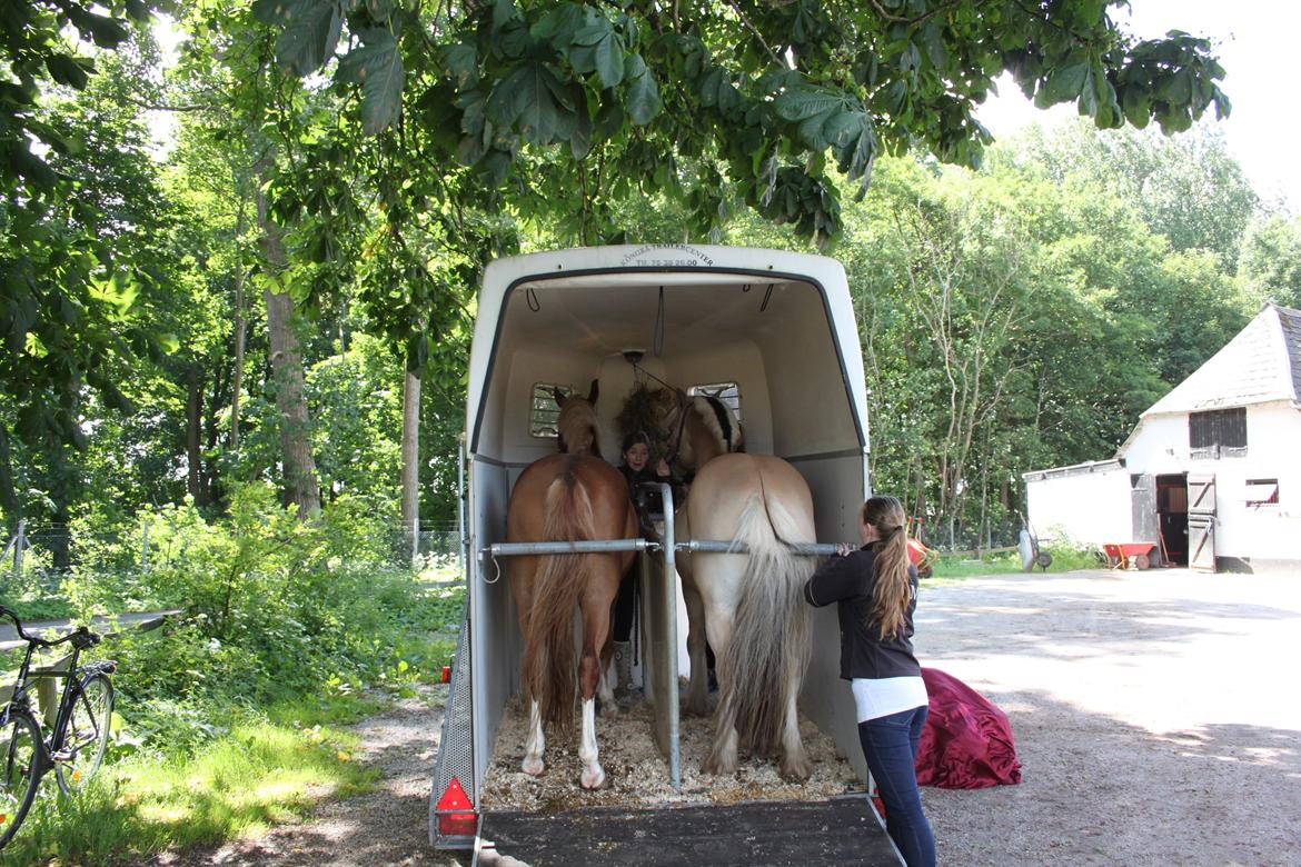 Fjordhest Farmens Elliot - Ponyen og jeg pakket til ridelejr :) billede 2