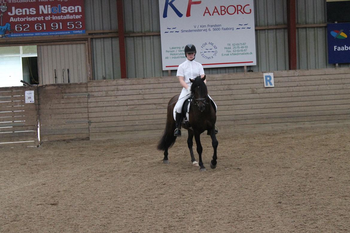 Anden særlig race Gavbogaard Lucas billede 15