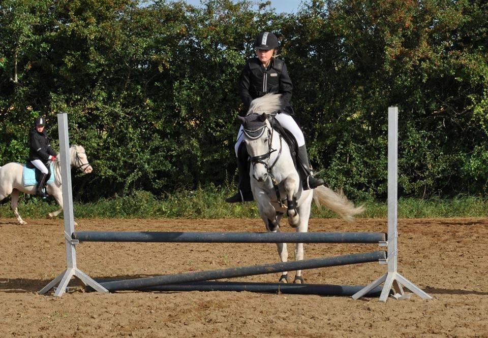 Anden særlig race William (Villy) - William og min søster til stævne på Revsø rideklub billede 8