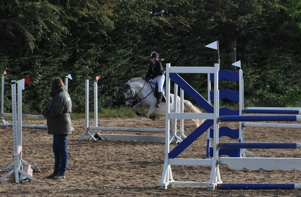 Anden særlig race William (Villy) - Tak fordi i kiggede med på Willams profil:) -på gensyn billede 15