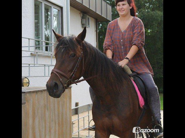 Traver (Opal F.H.) Tana billede 2