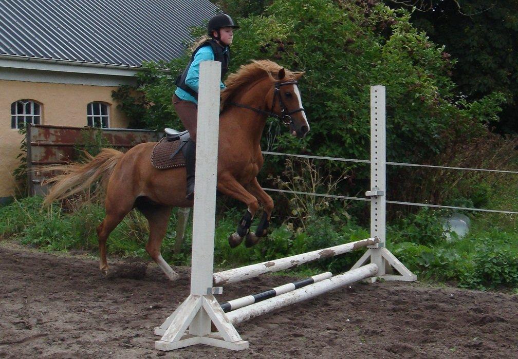 DSP Amanda af Bakholm billede 16