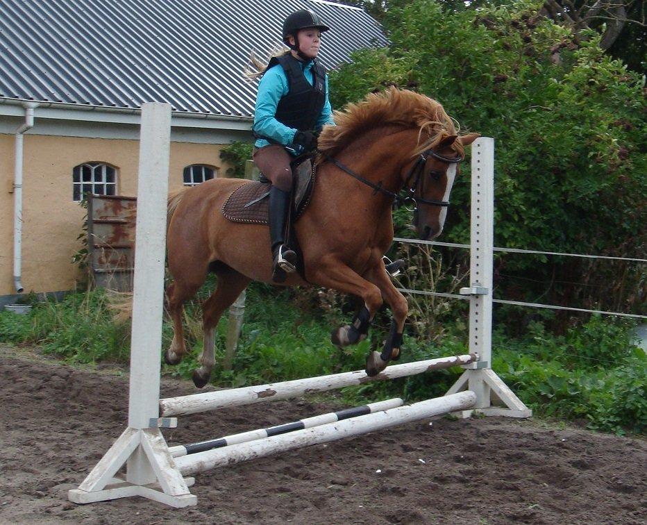 DSP Amanda af Bakholm - 01.09.2013: 2. gang man springer med rytter. billede 17