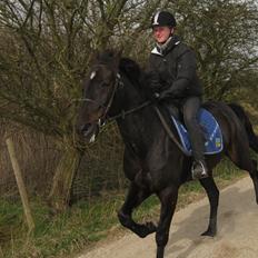 Traver Borga Avin (ca) <3