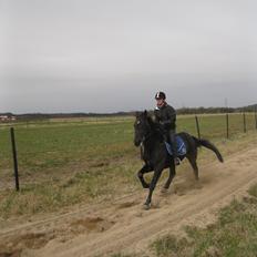 Traver Borga Avin (ca) <3