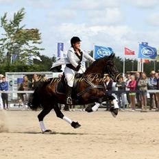 Frieser Nora V.D. Witmoos