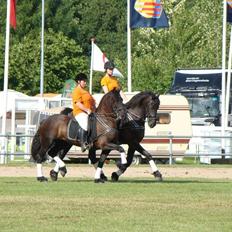 Frieser Nora V.D. Witmoos