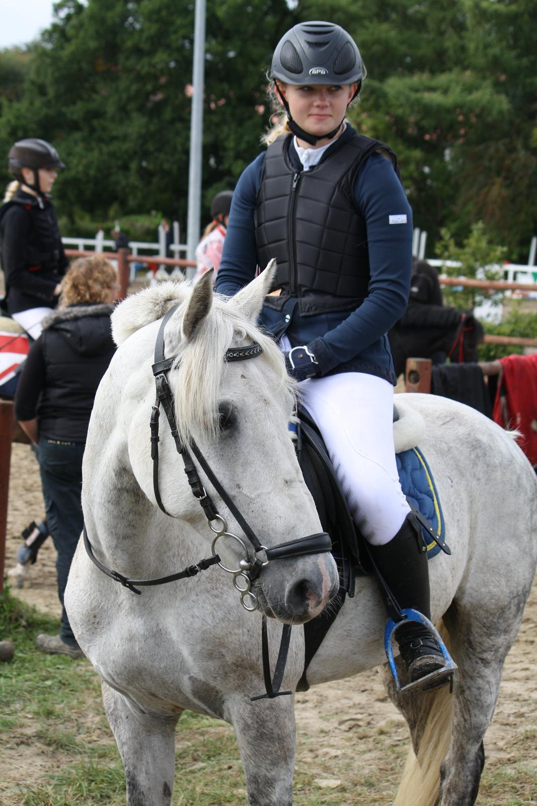 Welsh Cob (sec D) Athos/Mowgli - Mowgli og Cecilie til stævne på Ponygården Foto - Mig billede 1