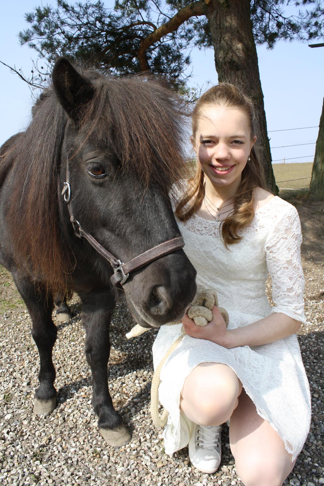 Shetlænder Sally <3 //My Soulmate// billede 11