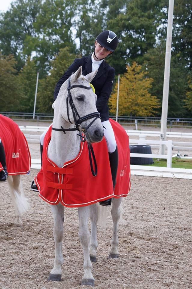 Connemara Hesselholt's Casano B-pony - ÅRHUS MESTER 2013 foto: pernillekirstine.dk billede 6