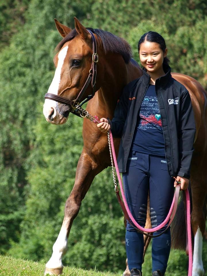 Tysk Sportspony Artos B-pony - Artos og jeg. <3 billede 17