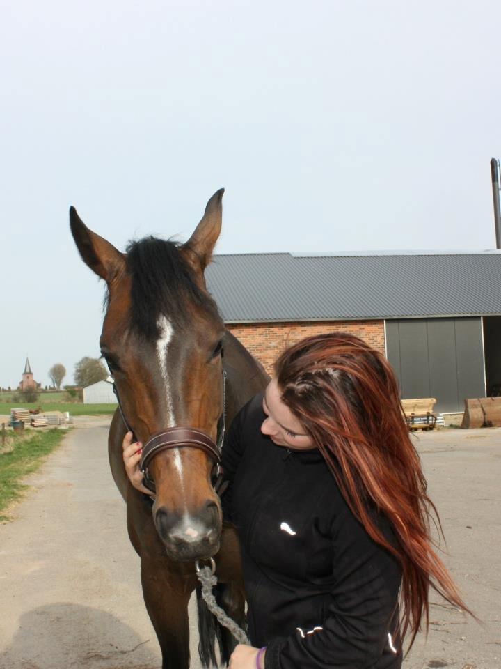 Dansk Varmblod Rødhøjs Felicia - "Der er mange ting i livet, som vil fange dine øjne, men kun få, som vil fange dit hjerte." min pige! billede 20
