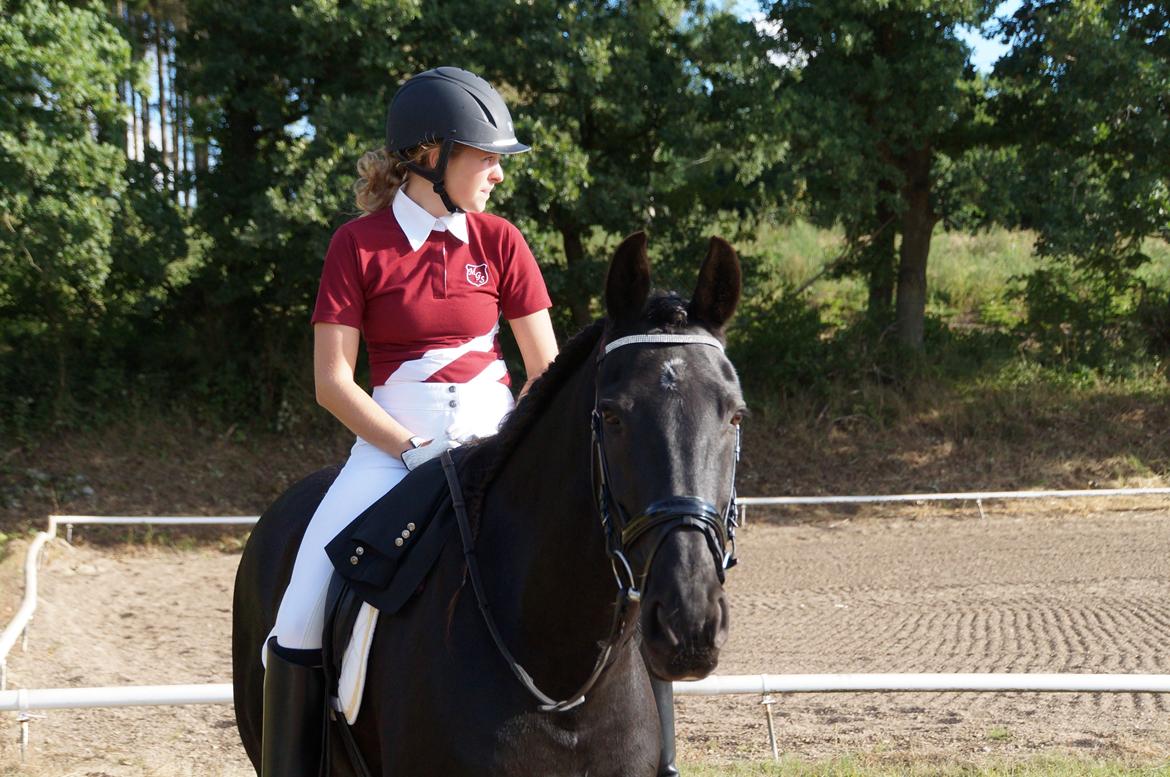 Anden særlig race KJÆRSGAARDS MOONLIGHT - Smukke stævne-Monse mens vi venter på at ride LC2, 25. aug. 2013. billede 40