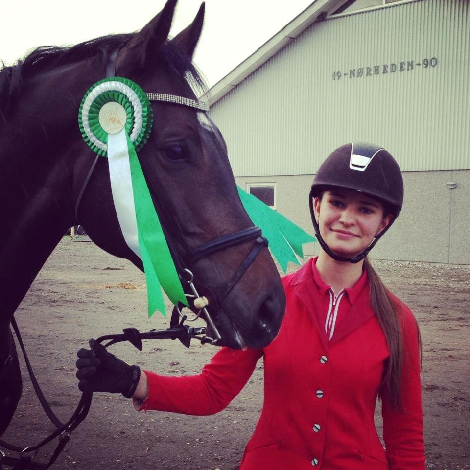 Hollandsk Varmblod Cavour - Nummer 3 til distriktsmesterskaberne for senior! <3 billede 17