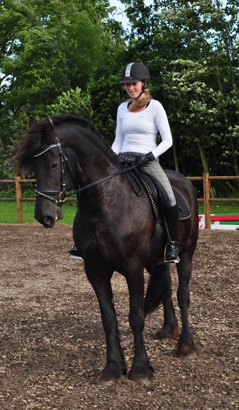 Frieser AKKE FAN DE SLACHTEDYK (Red og passede) - Akke i parade, august 2012. billede 22