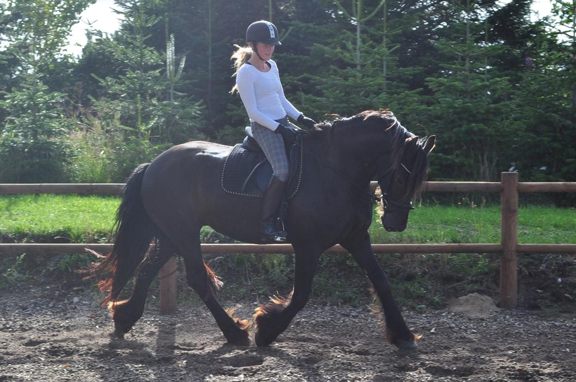 Frieser AKKE FAN DE SLACHTEDYK (Red og passede) - Smukke Akke i solen, aug. 2012. billede 24