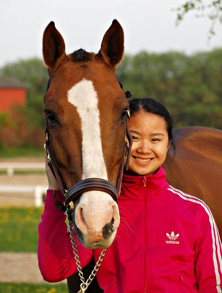 Tysk Sportspony Artos B-pony - Tos og jeg <3 billede 29