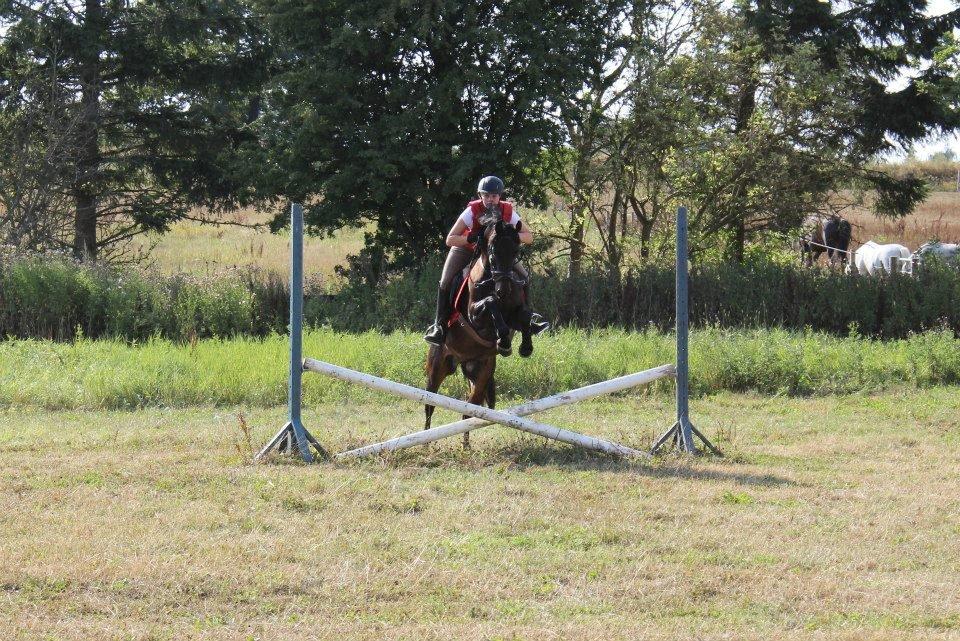 DSP Nørelunds Negro billede 4