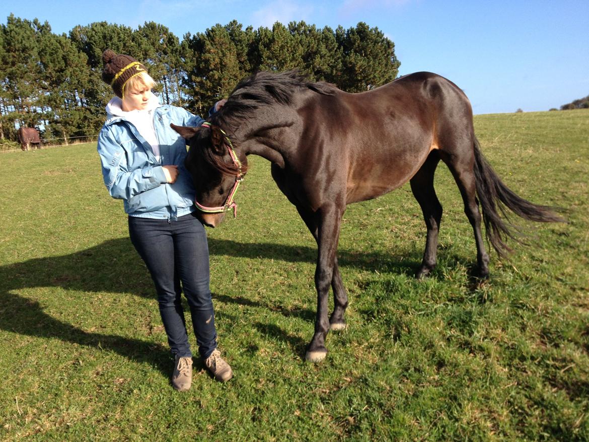 DSP Nørelunds Negro billede 5