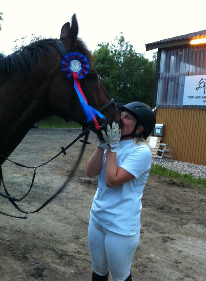 Anden særlig race Zeus billede 6