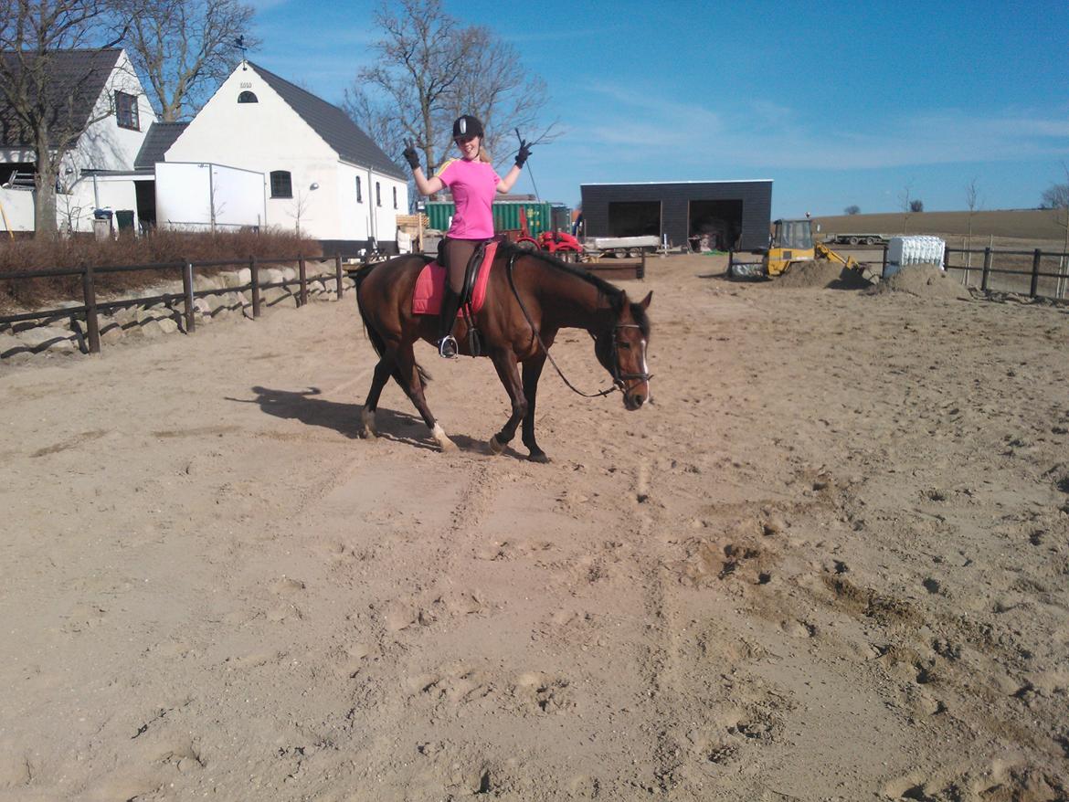 Anden særlig race Zeus billede 8