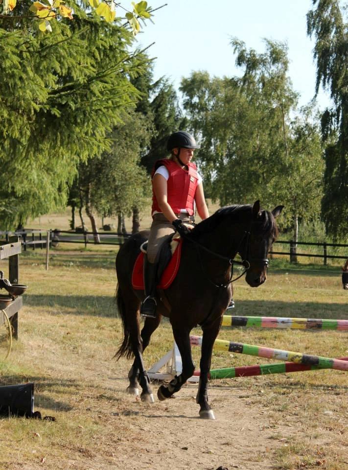 DSP Nørelunds Negro billede 10