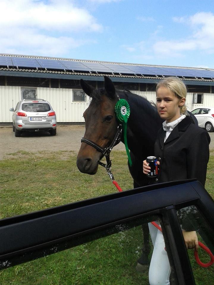 New Forest Stenhøjgaards Amanda <3 - 6 plads. Så stolt af min prinsesse!
 billede 5