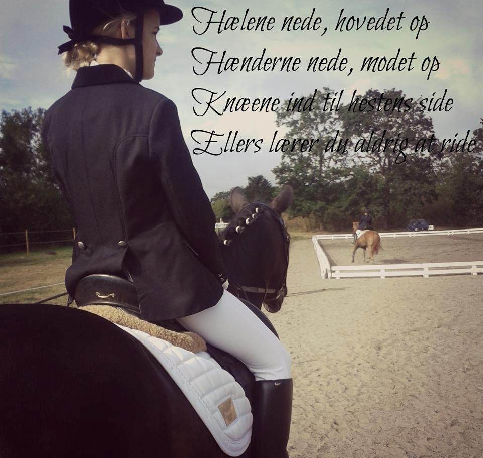 New Forest Stenhøjgaards Amanda <3 - Så rigtig!
 billede 18