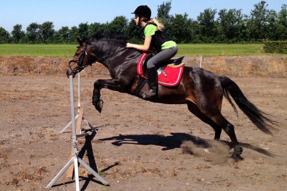 New Forest Stenhøjgaards Amanda <3 - (Y) billede 16