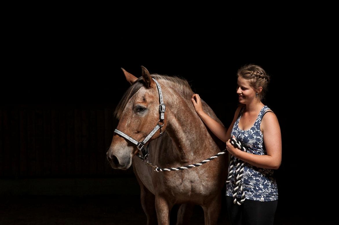 Anden særlig race Vilja Menneske Øje - 2) Smukke Vilja fotosession v. hesteportræt.dk billede 2