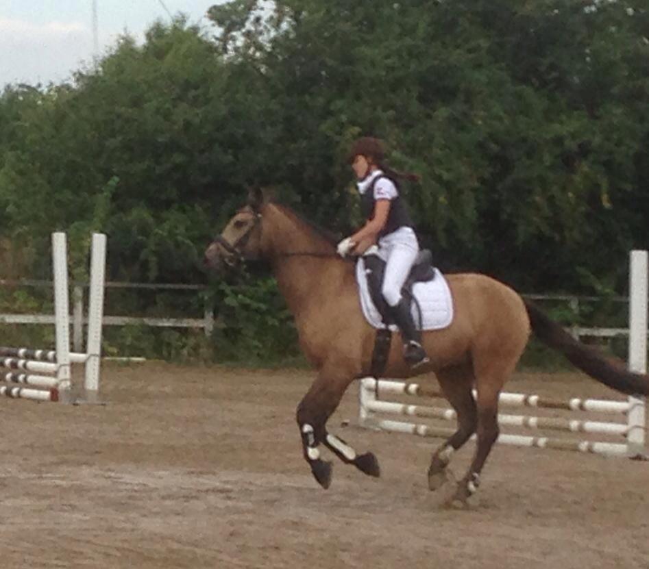 Lusitano Dinamico billede 16