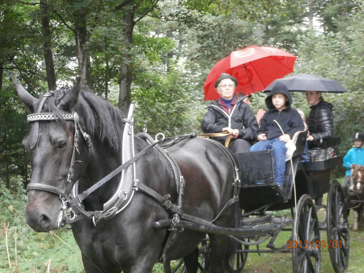 Oldenborg Hannibal  død - Så dygtig er han billede 19