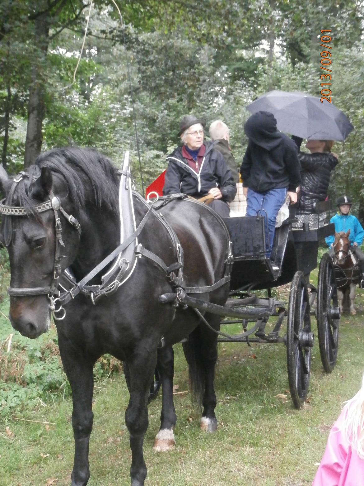 Oldenborg Hannibal  død - Pyyh det er altså hårdt det her, hvor er min bror.  billede 20