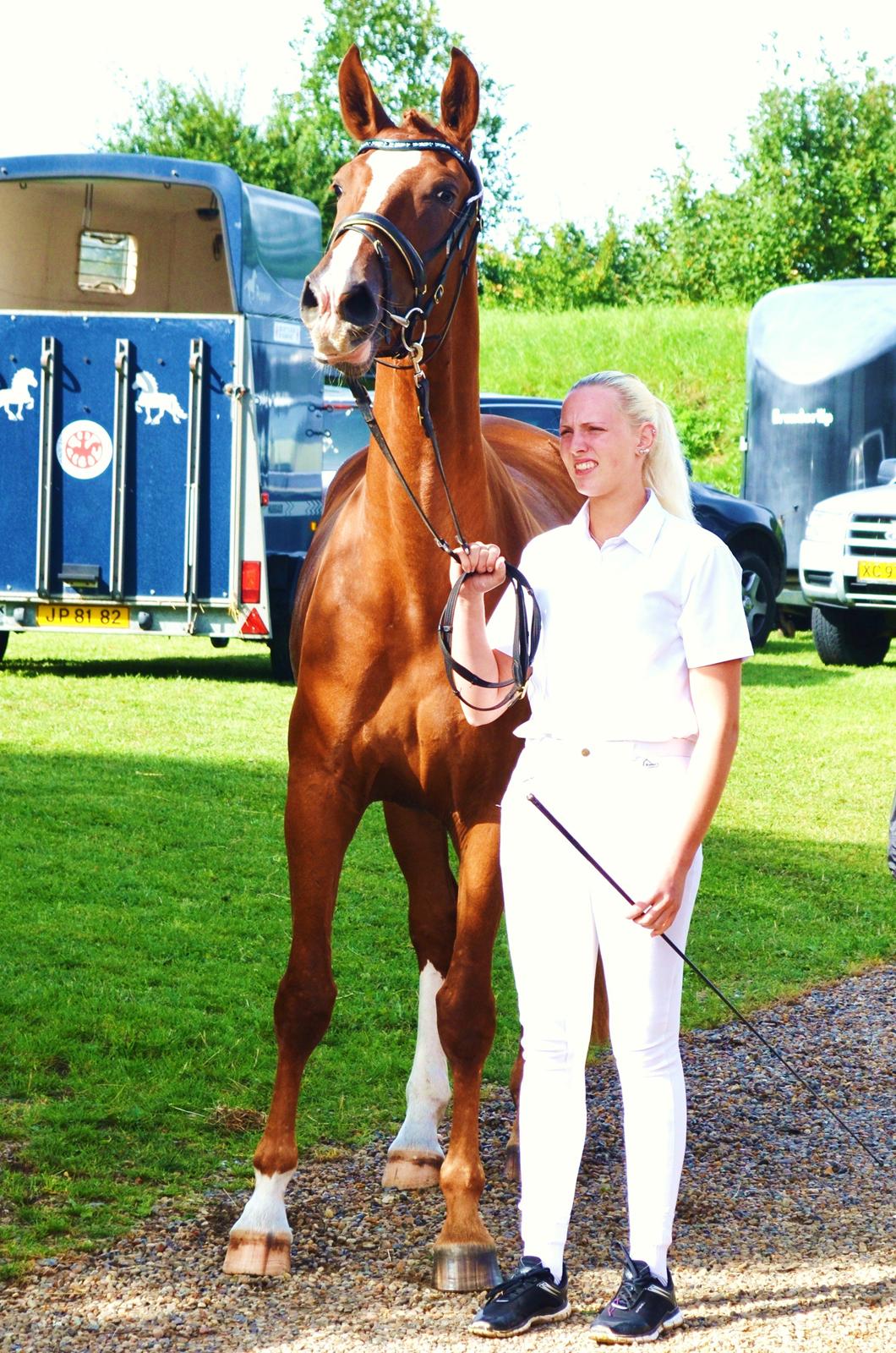 Frederiksborg Vestergårds Meleisa - 1. sep. 2013 - kåring billede 10