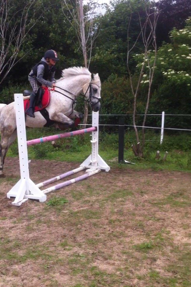 DSP nordenhøjs freja billede 10