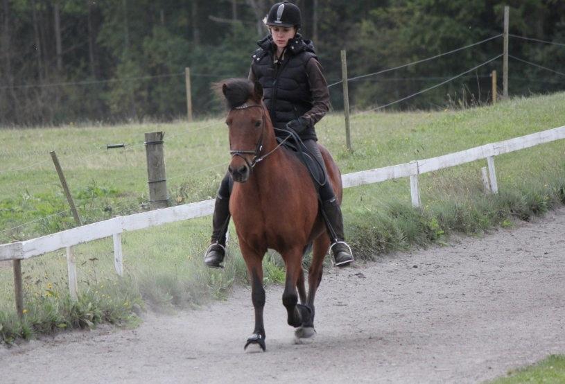 Islænder Vigdis fra Frederiksdal billede 17