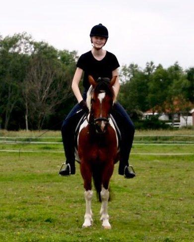 Anden særlig race Pinocchio Star billede 19