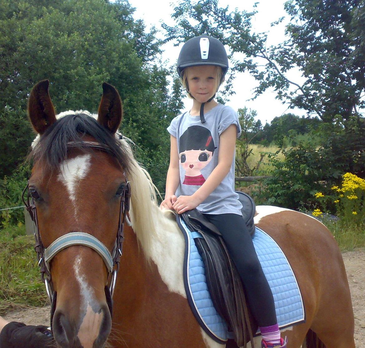 Anden særlig race Pinocchio Star - Fra 2010 :-) billede 23