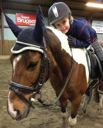 Anden særlig race Pinocchio Star billede 24