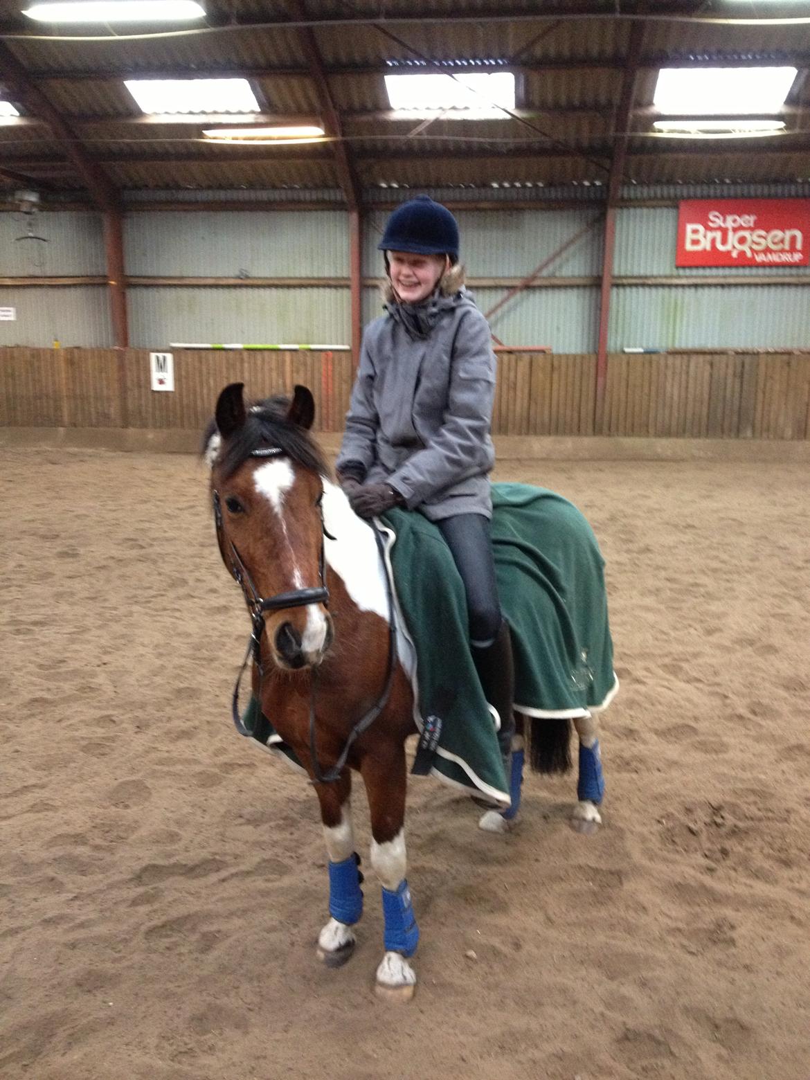 Anden særlig race Pinocchio Star billede 26